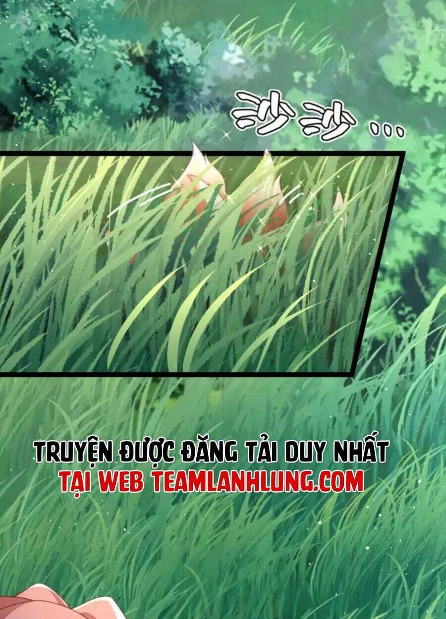 thần phi ngự thiên hạ chapter 13 - Next chapter 14