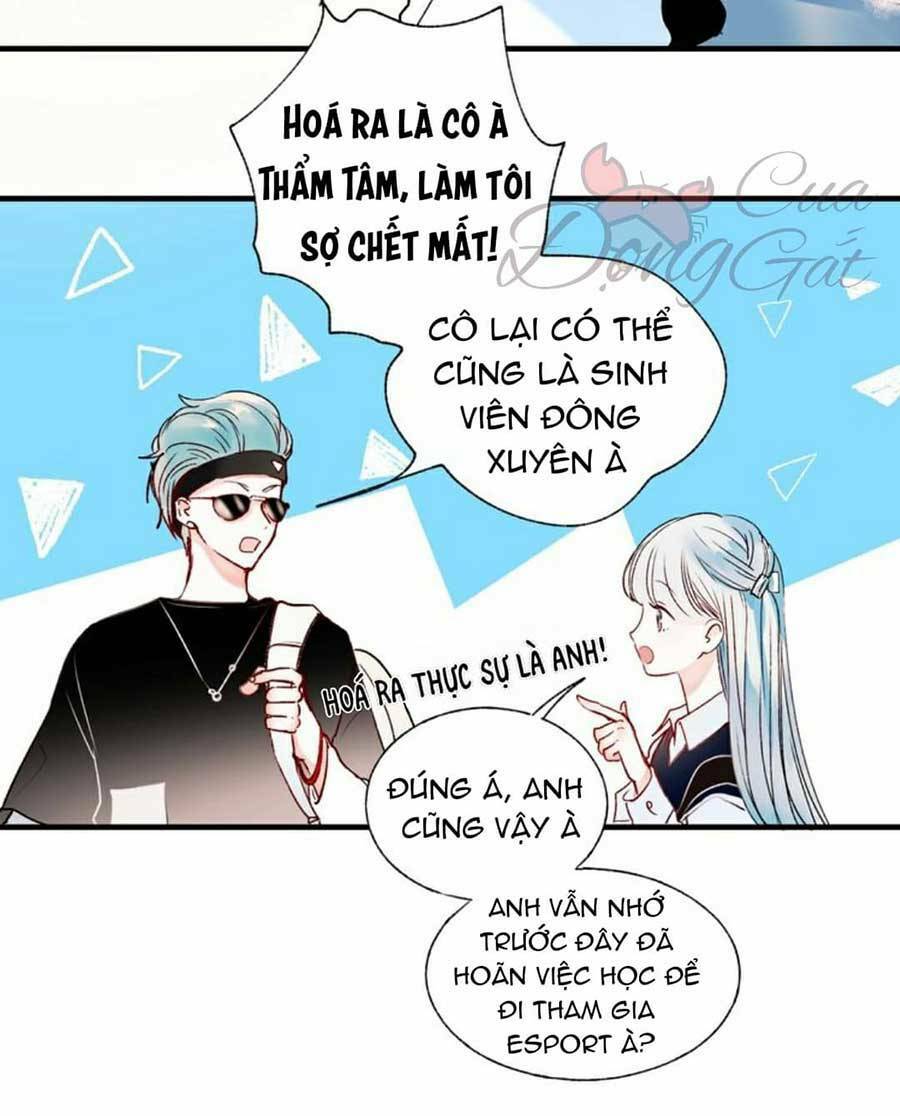 thành dã tiêu hà chapter 40 - Trang 2