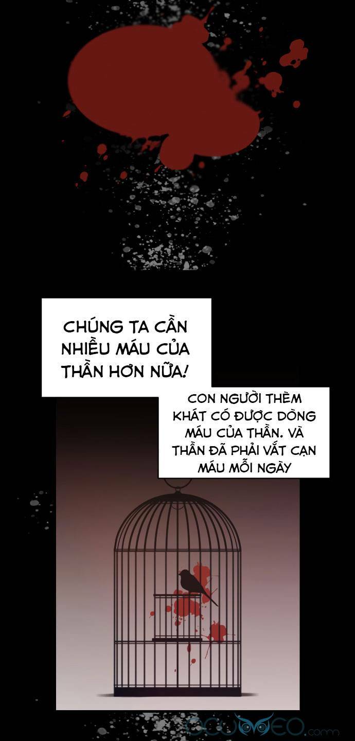 thánh nữ ẩn danh chapter 7 - Next chapter 8