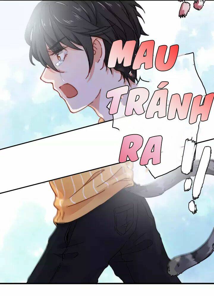 Thập Quang Mật Ngữ Chapter 11 - Trang 2