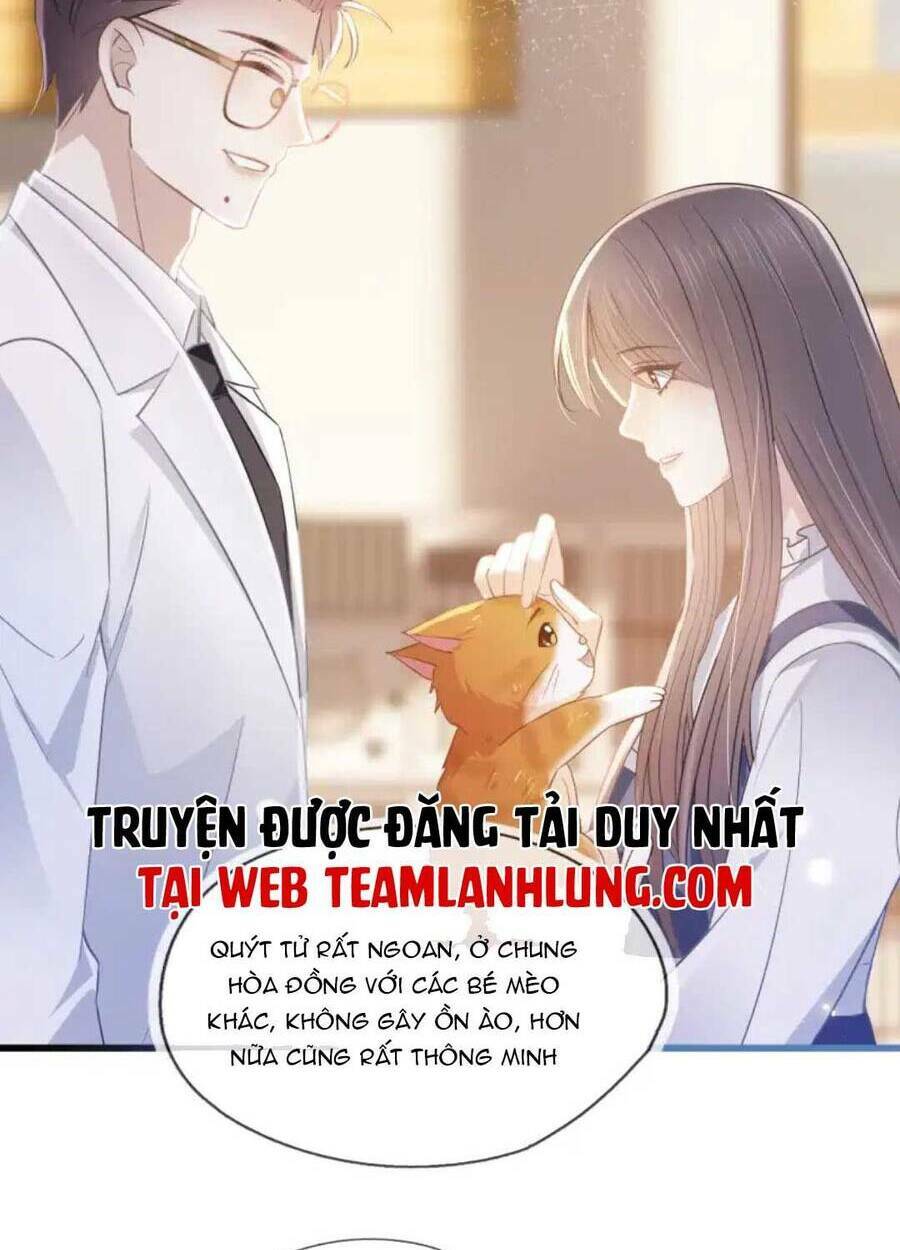 thế thân hào môn chapter 11 - Trang 2