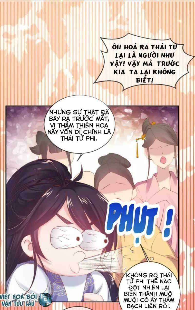 thị huyết y phi chapter 65 - Next chapter 66