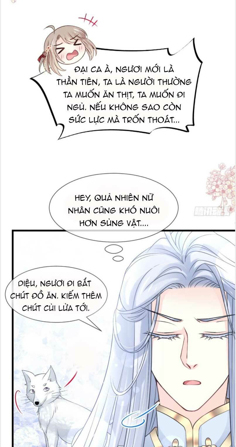 thiên hạ đệ nhất sủng phi Chapter 195 - Trang 2