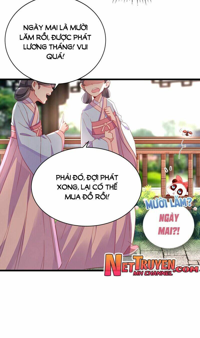 Thiên Thần Gấu Trúc Muốn Được Ôm Chapter 23 - Next Chapter 24