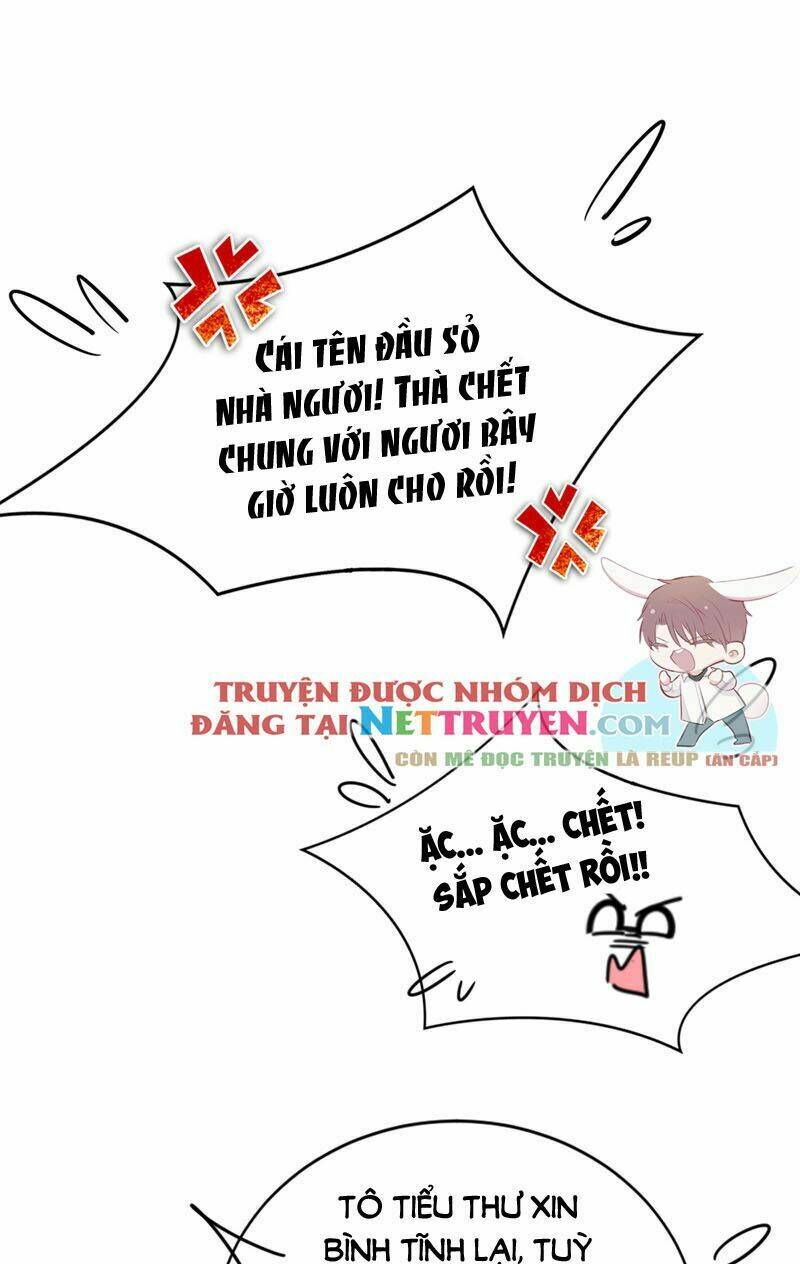 Thiên Thần Gấu Trúc Muốn Được Ôm Chapter 32 - Trang 2