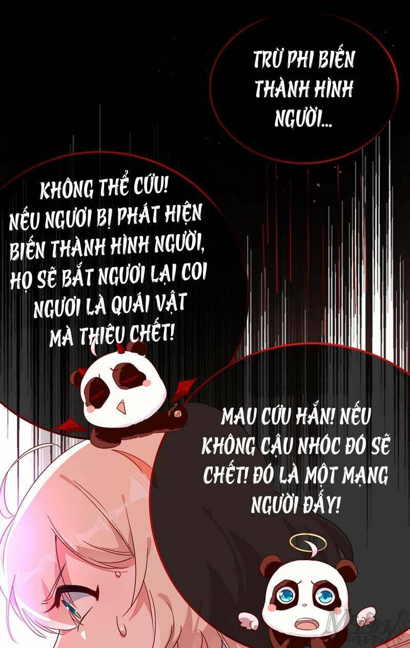 Thiên Thần Gấu Trúc Muốn Được Ôm Chapter 47 - Next Chapter 48