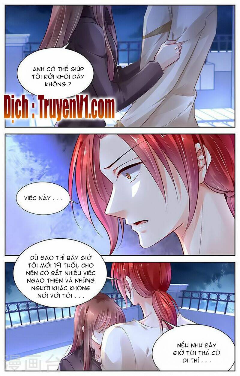 thuần tình nha đầu hoả lạt lạt chapter 314 - Trang 2