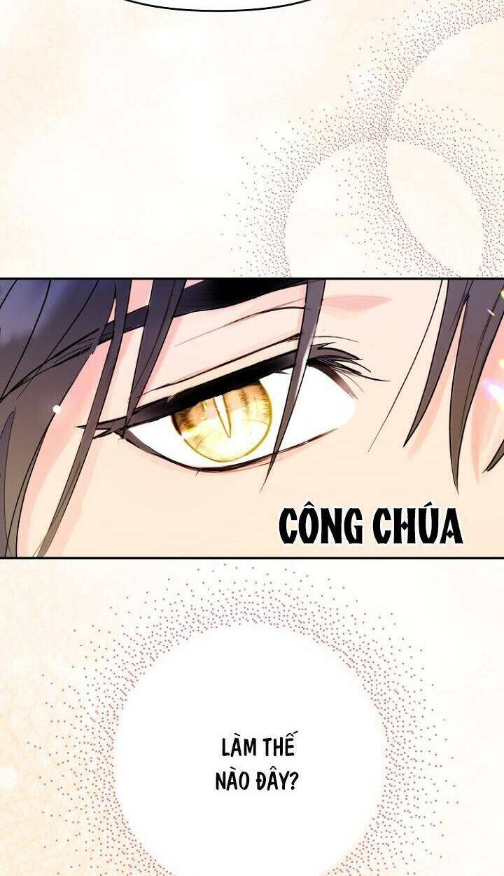 tiền là tất cả chồng là phù du chương 13 - Next chapter 14