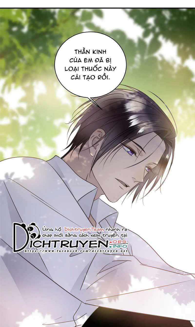 tiên sinh nói dối chapter 56 - Trang 2