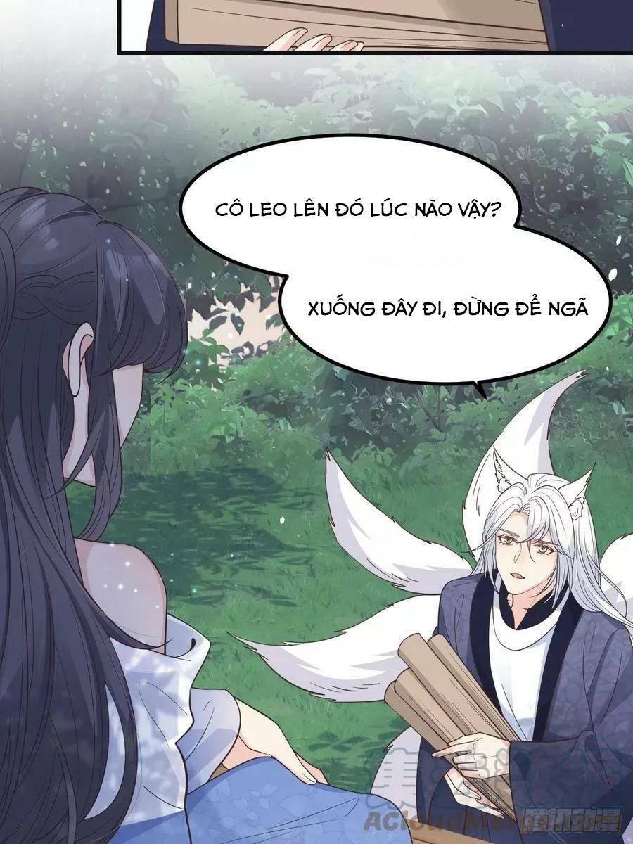 tiểu hồ ly hôm nay có chút ngoan chapter 41 - Trang 2