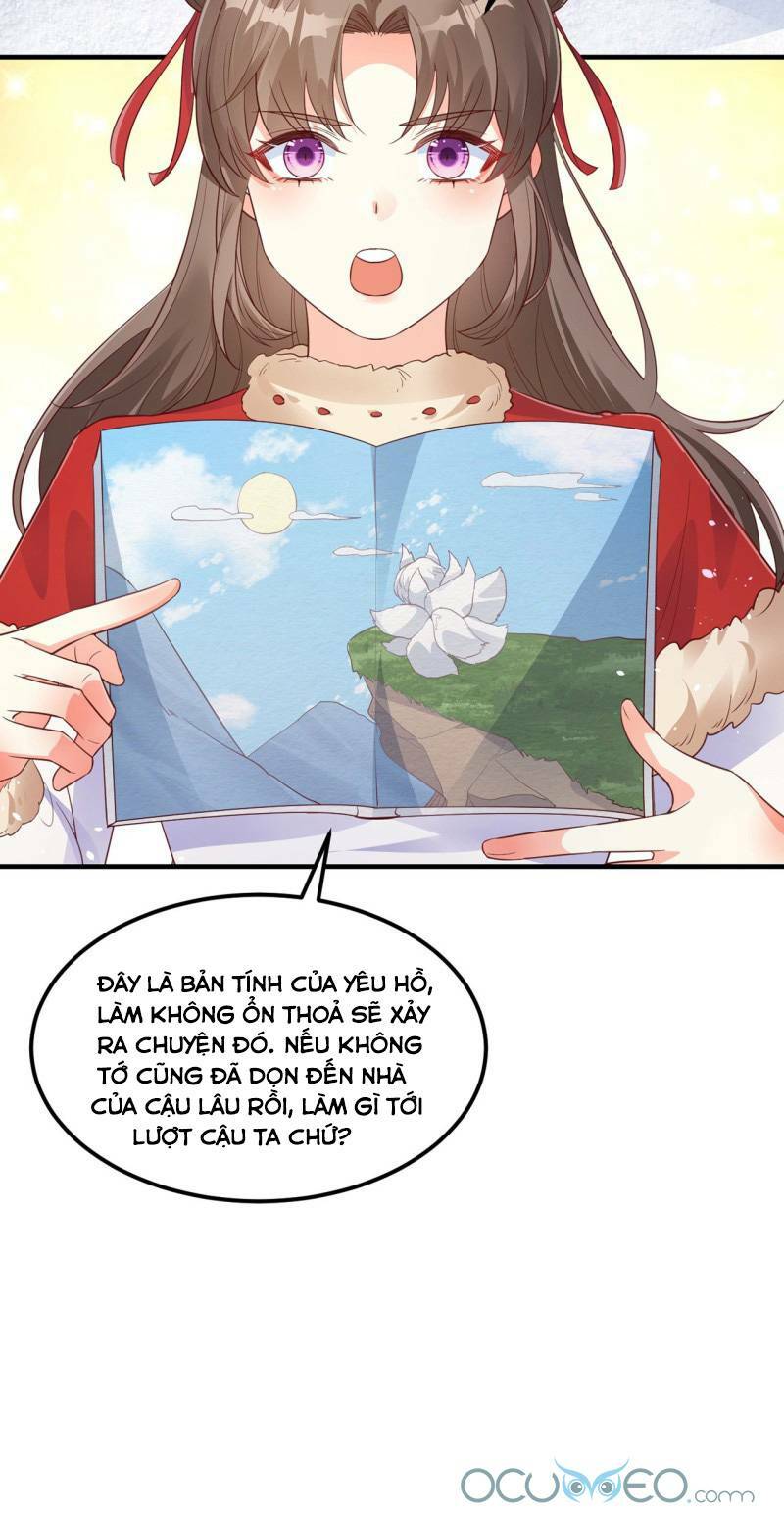 tiểu hồ ly hôm nay có chút ngoan chapter 7 - Trang 2