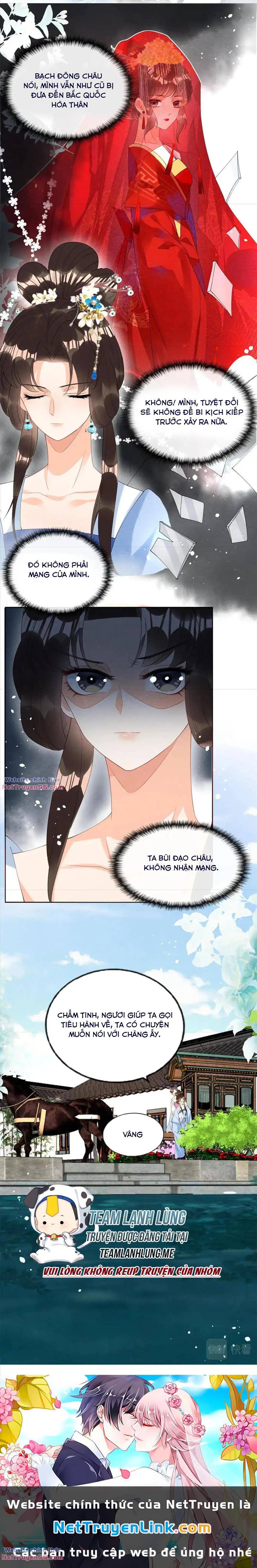 tiêu rồi, lại bị bệnh kiều để mắt đến! chapter 73 - Next chapter 74