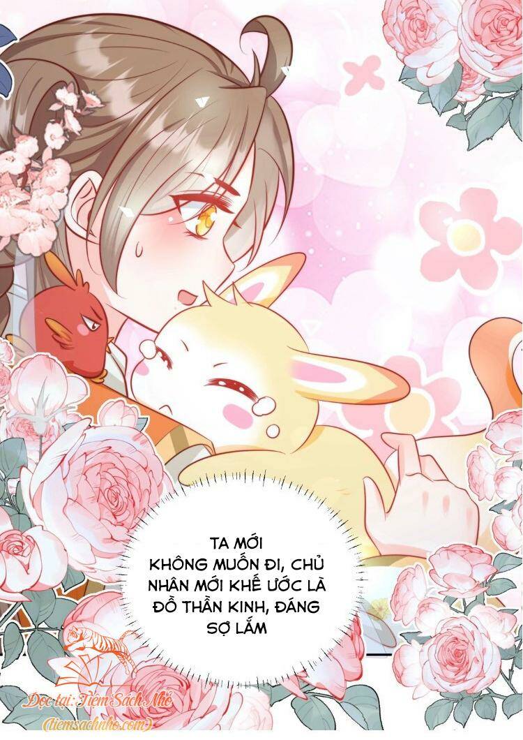 tiểu sư muội rõ ràng rất mạnh, nhưng lại quá tấu hề chapter 75 - Next chapter 76