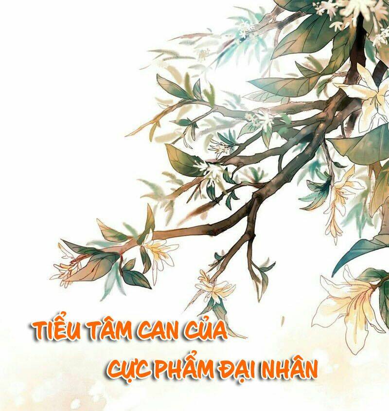 Tiểu Tâm Can Của Cực Phẩm Đại Nhân Chapter 17 - Trang 2