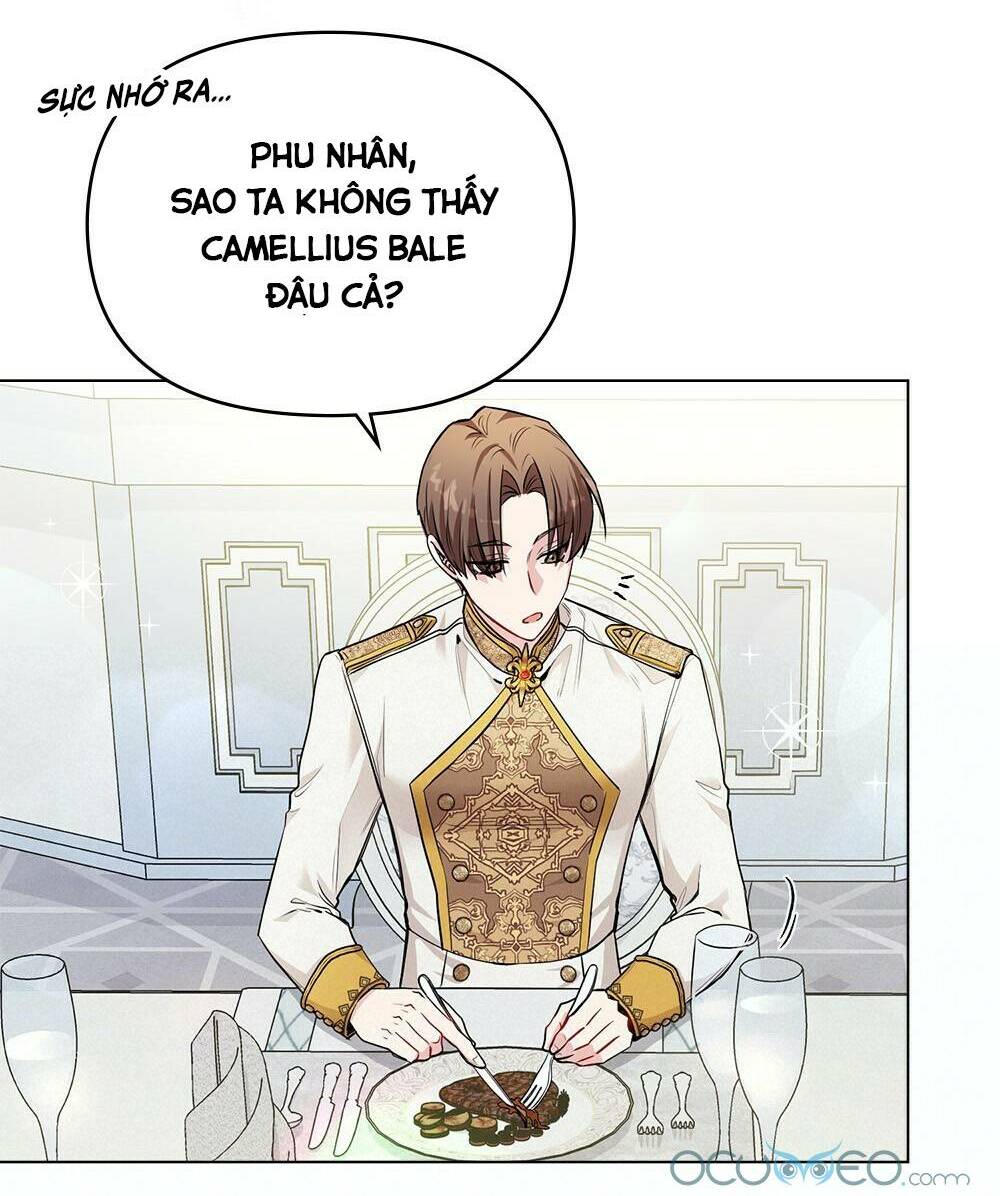 tìm lại camellia Chapter 24 - Next Chương 24