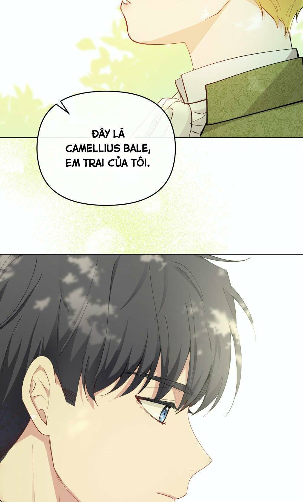 tìm lại camellia Chapter 51 - Next Chương 51