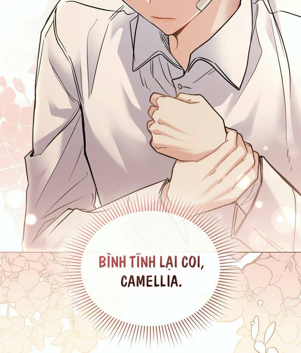 tìm lại camellia Chapter 51 - Next Chương 51