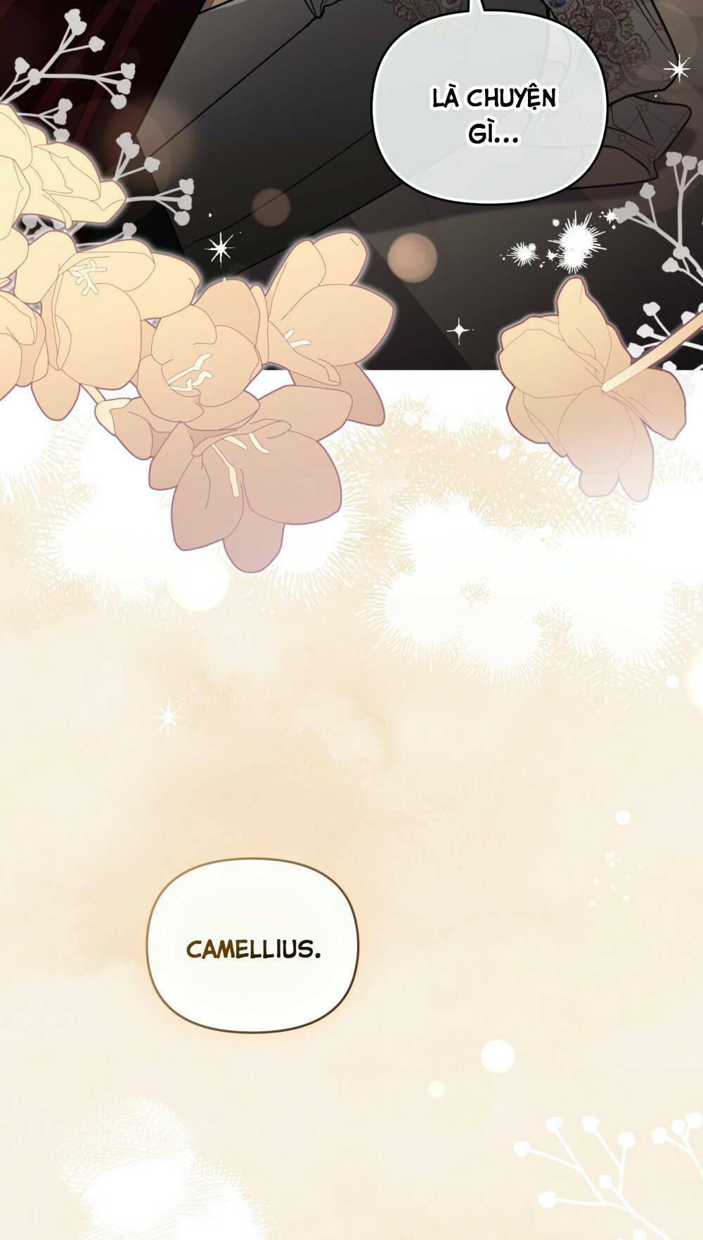 tìm lại camellia Chapter 61 - Next Chương 61