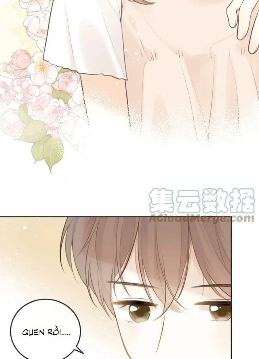 tình yêu duy nhất của tôi chapter 29 - Trang 2