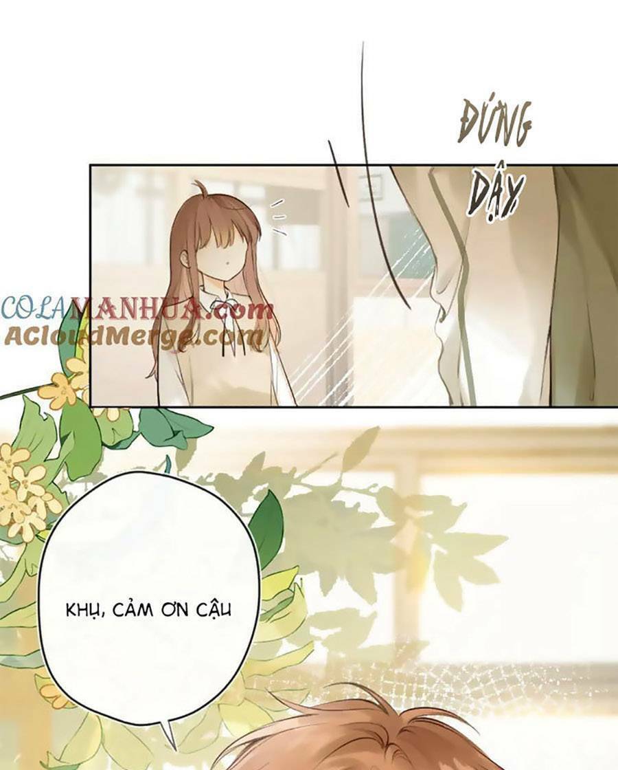 tình yêu duy nhất của tôi chapter 47 - Trang 2