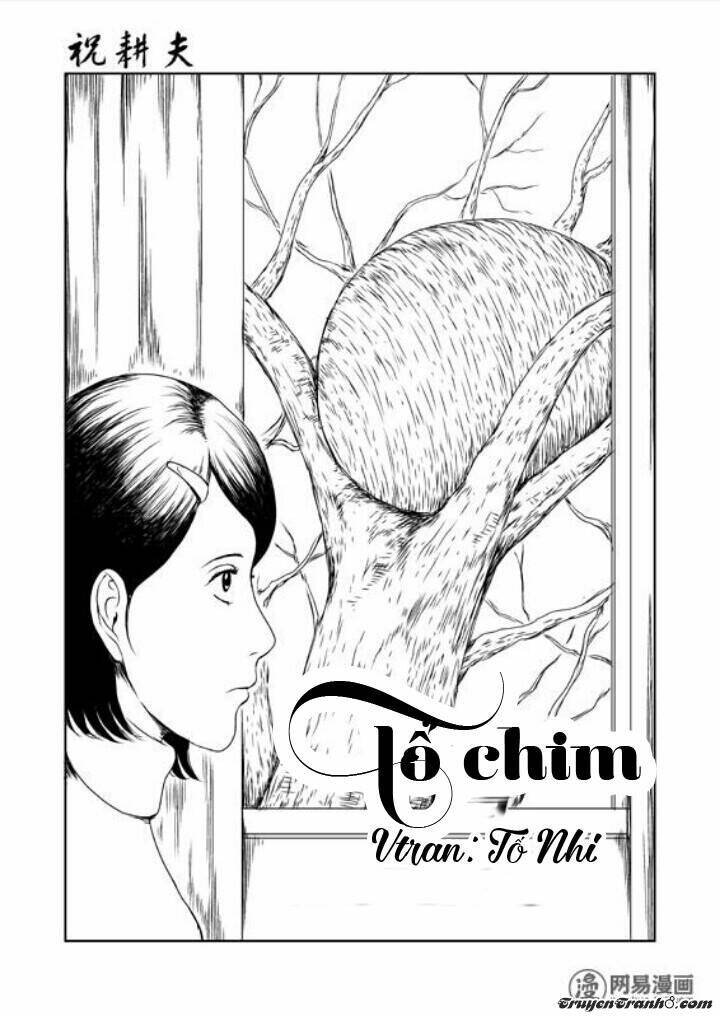 Tổ Chim Chapter 1 - Next 