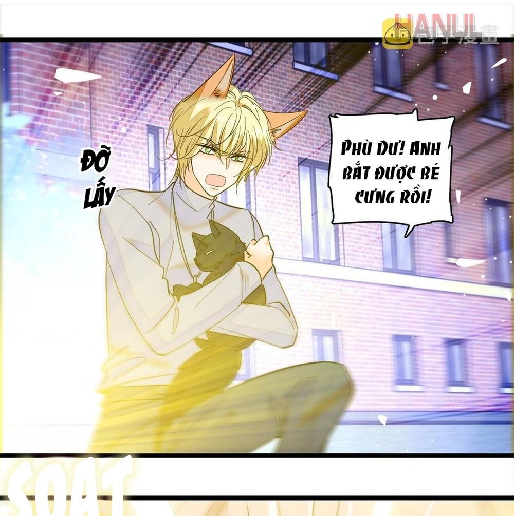 toàn mạng đều là fan cp của tôi với ảnh đế chapter 247 - Next chapter 248