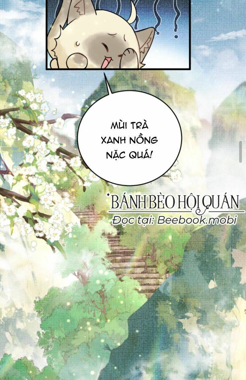 toàn tông môn đều là kẻ si tình, chỉ có ta là tỉnh táo chapter 3 - Trang 2