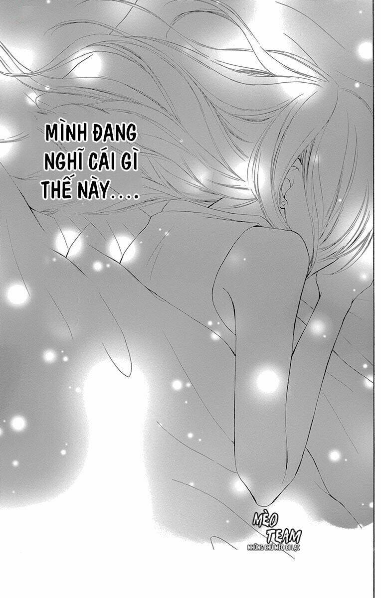 Toge Ni Kuchizuke Chapter 4 - Trang 2