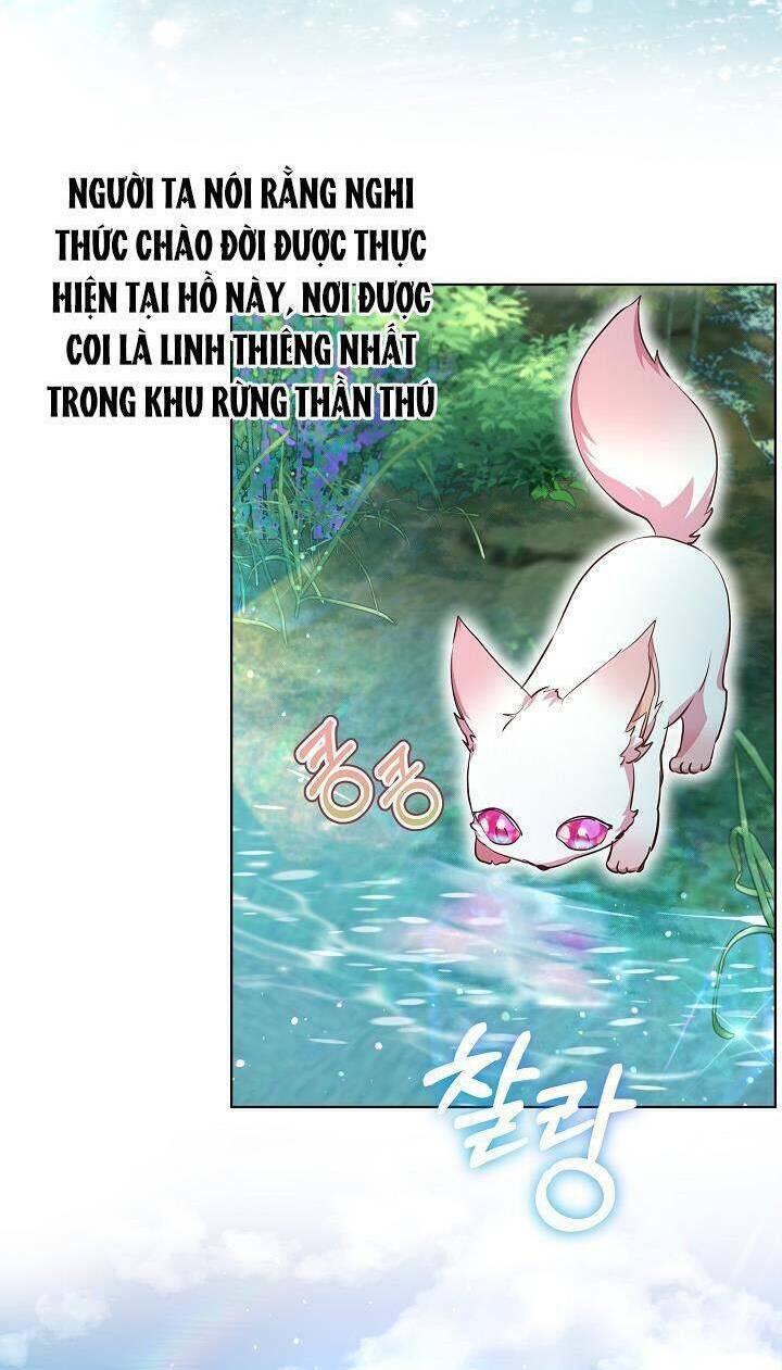 tôi đã tái sinh thành bé cáo của thần chapter 30 - Trang 2