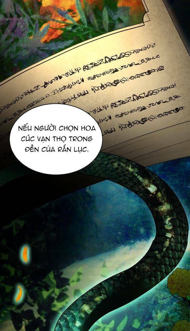 tôi đã tái sinh thành bé cáo của thần chapter 33 - Trang 2