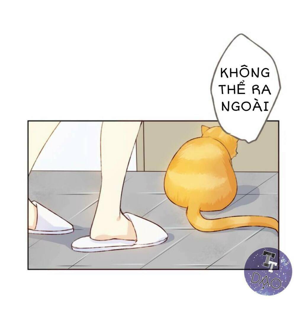 Tôi Không Phải Đa Nhân Cách Chapter 11 - Trang 2