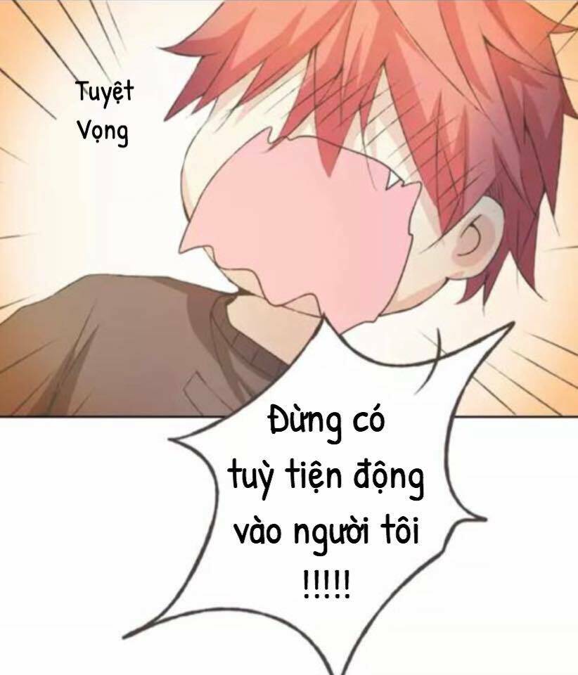 Tôi Không Phải Đa Nhân Cách Chapter 36 - Trang 2