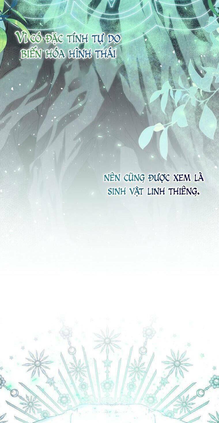 tôi là thánh nữ giả mạo nhưng các thần lại ám ảnh tôi chương 54 - Next chapter 55