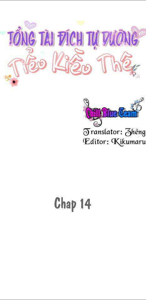 Tổng Tài Đích Tự Dưỡng Tiểu Kiều Thê Chapter 14 - Trang 2