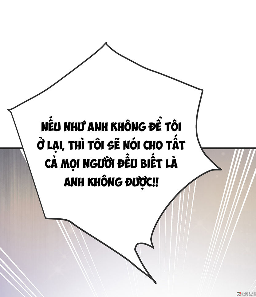 Tổng Tài Truy Thê: Phu Nhân Lại Chạy Trốn Chapter 3 - Next Chapter 4