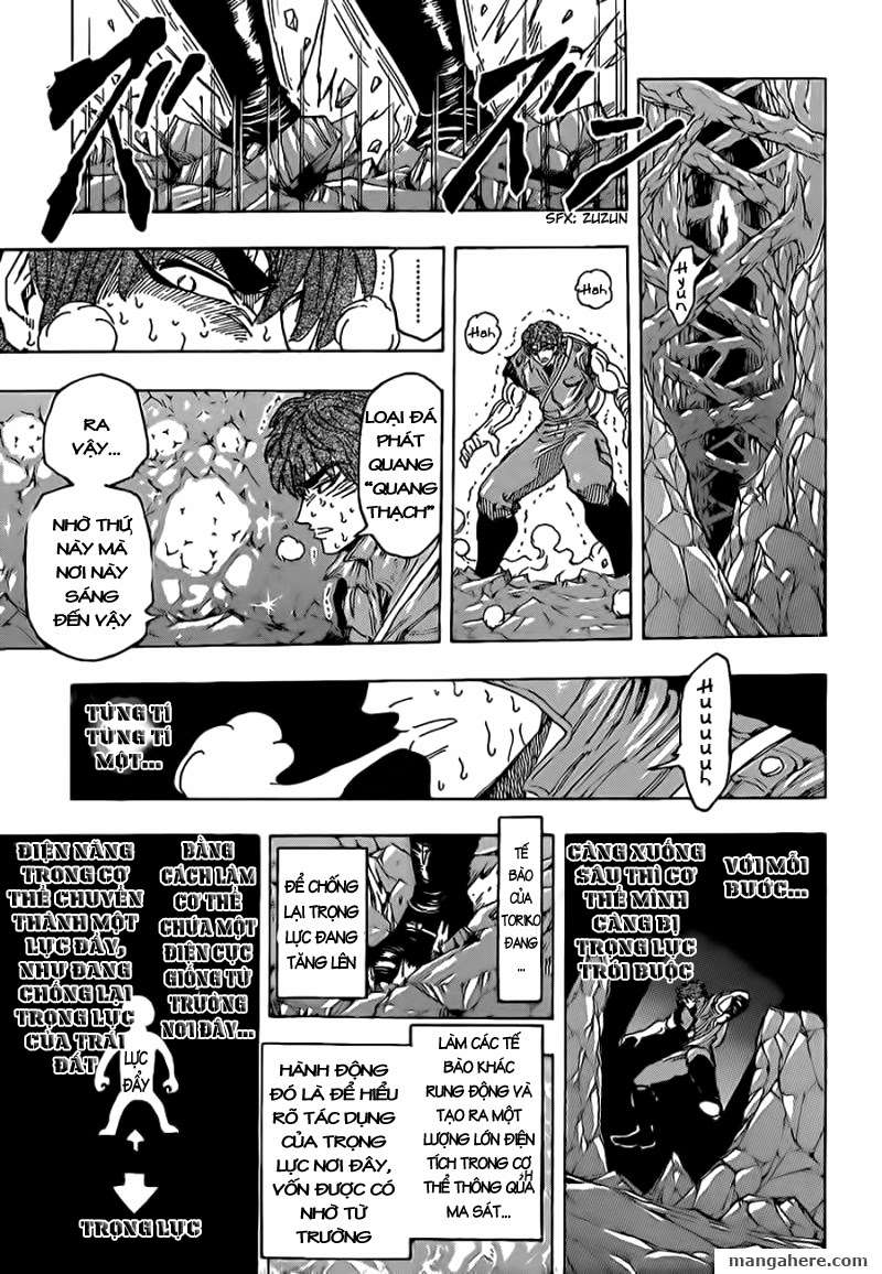 Toriko - Thợ Săn Ẩm Thực Chapter 120 - Next Chapter 121