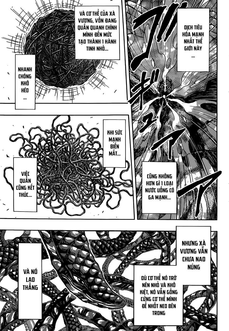 Toriko - Thợ Săn Ẩm Thực Chapter 382 - Next Chapter 383