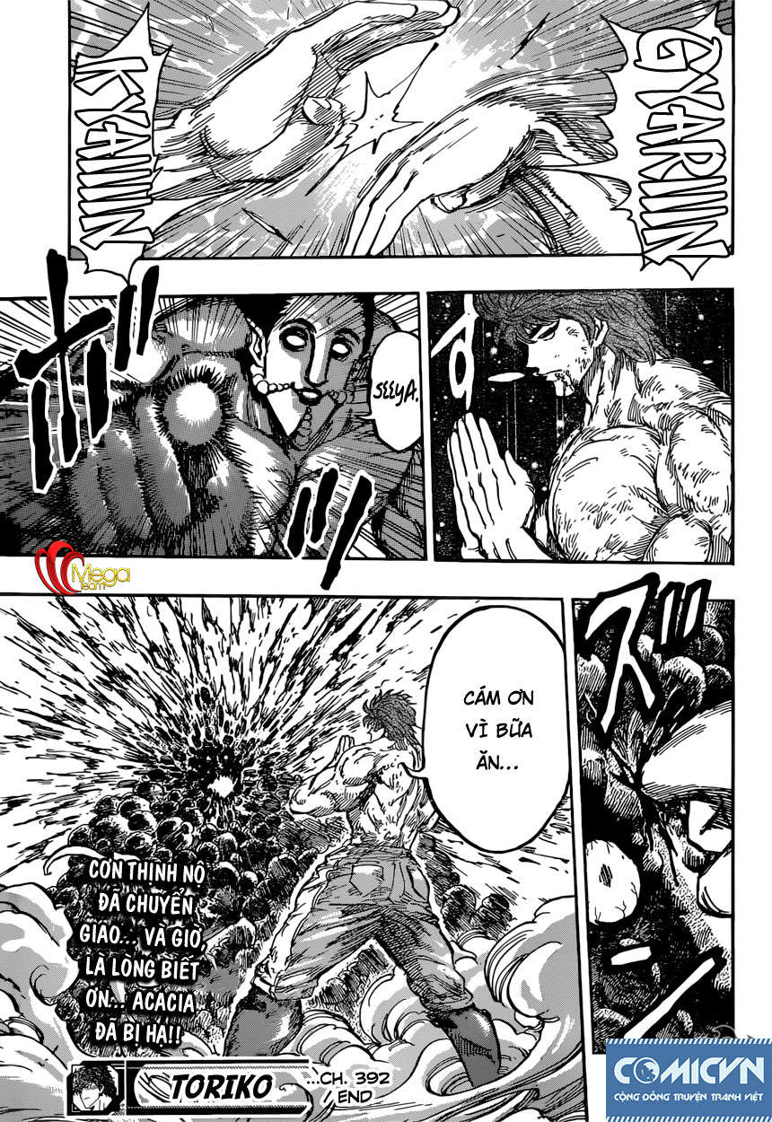 Toriko - Thợ Săn Ẩm Thực Chapter 392 - Next Chapter 393