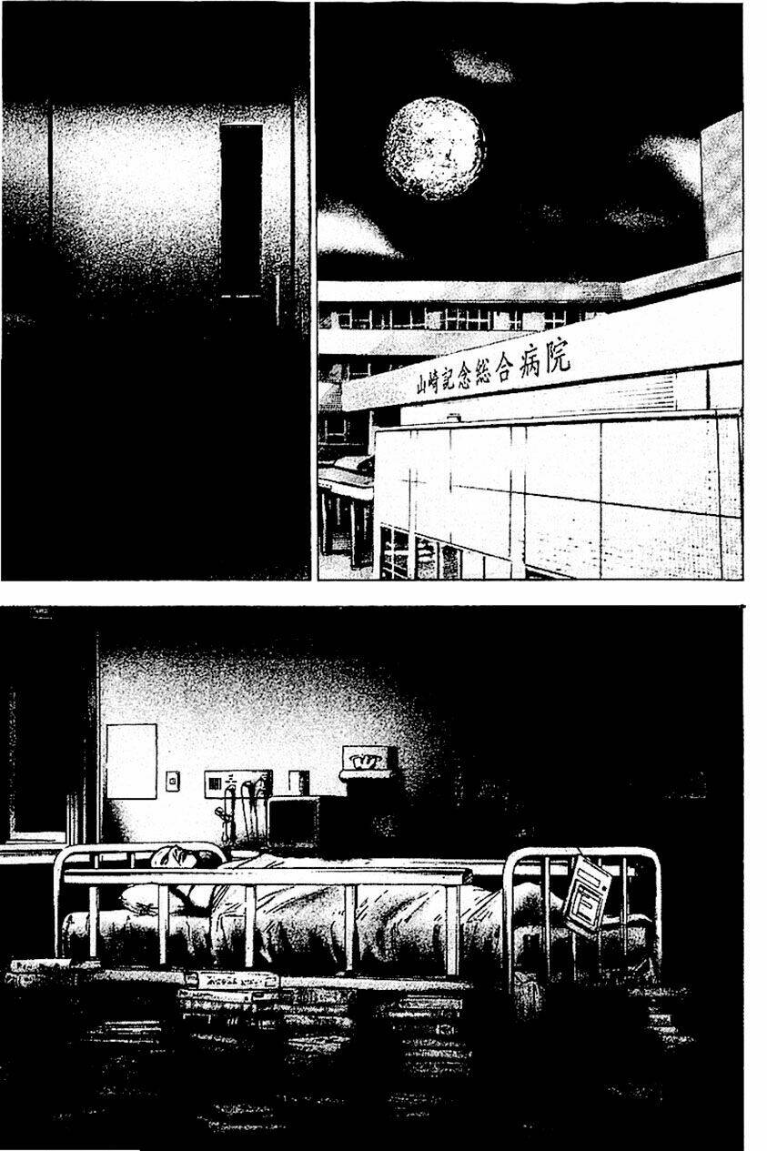 tough - miyazawa kiichi chapter 354 - Trang 2