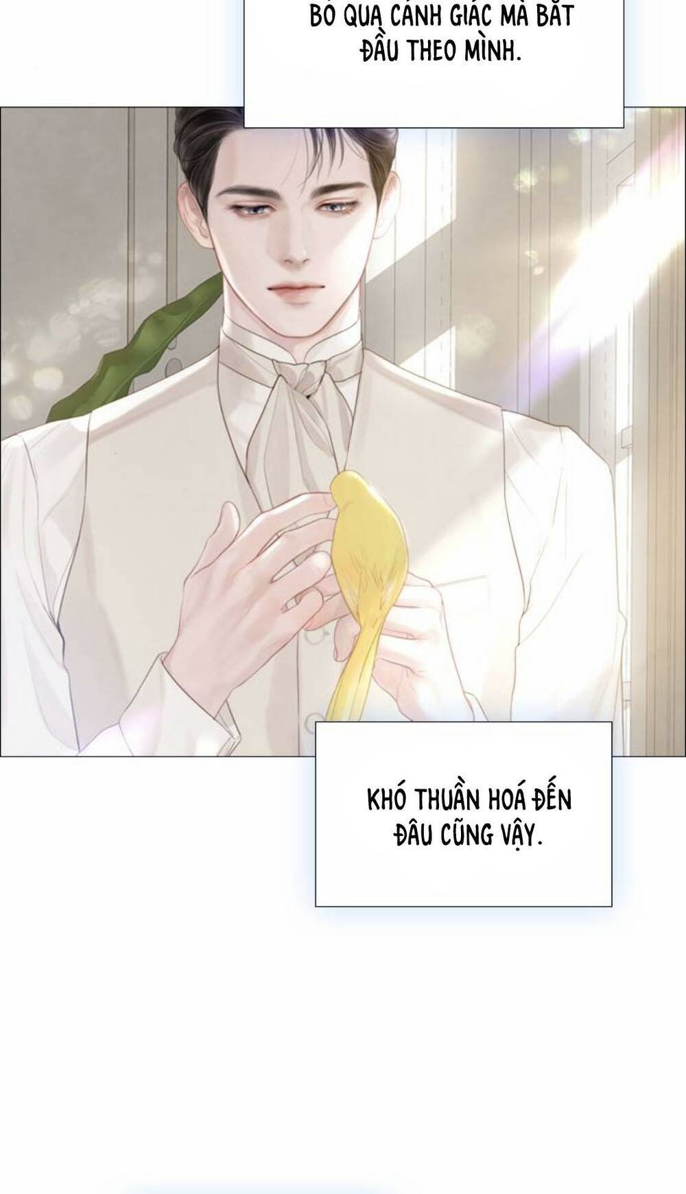 trái tim của thomas chapter 16 - Next chapter 17