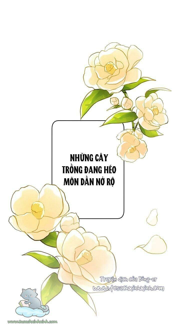 trang trại hạt dẻ gần cung điện hoàng gia chapter 1 - Trang 2