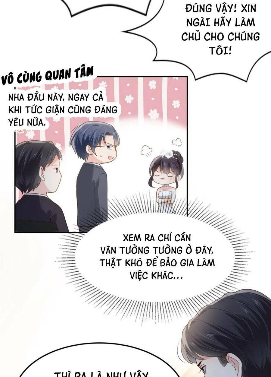 trọng sinh trở lại: sủng nịch độc nhất vô nhị chapter 217 - Trang 2