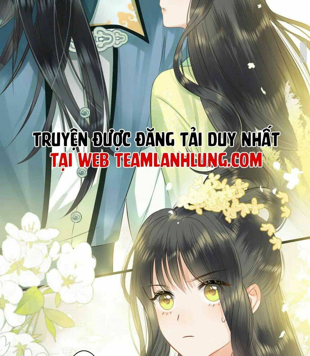 trọng sinh trở lại ! ta nhất định sẽ bảo vệ nàng chu toàn ! chapter 1 - Next chapter 2