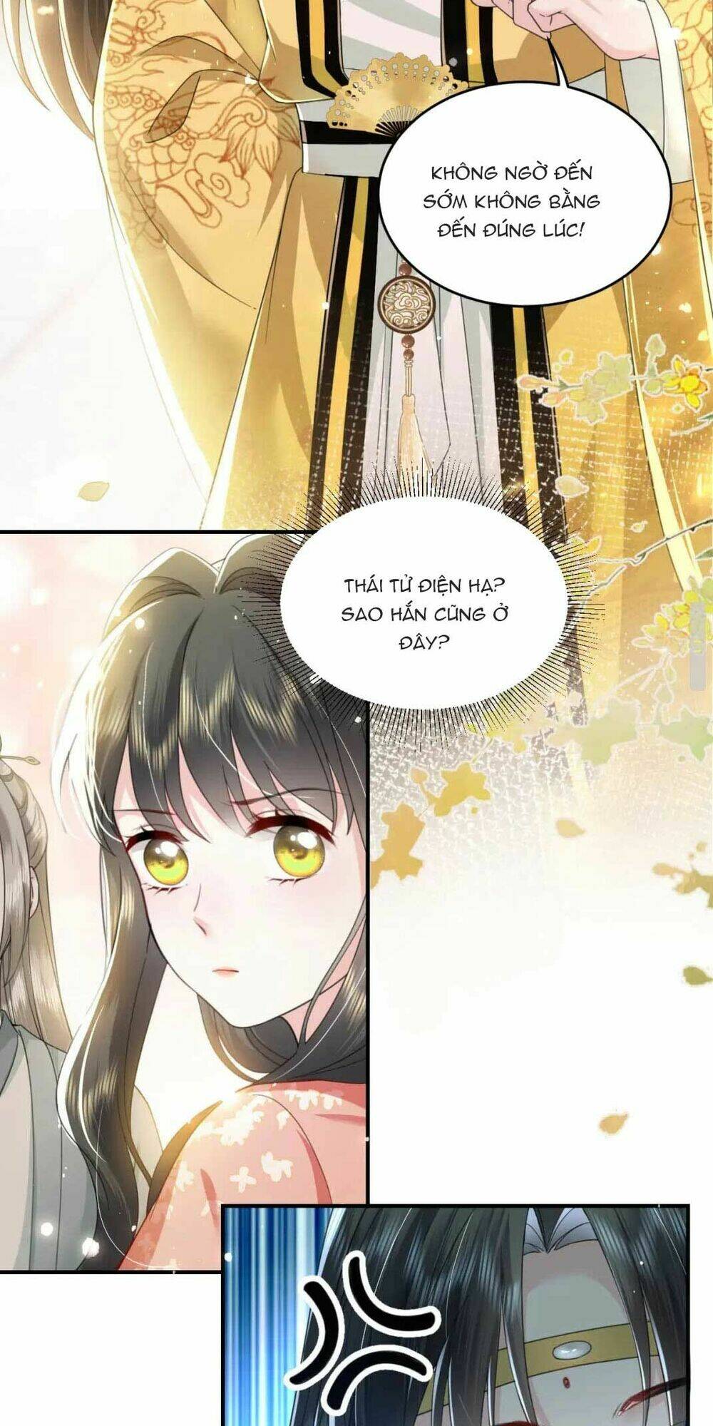 trọng sinh trở lại ! ta nhất định sẽ bảo vệ nàng chu toàn ! chapter 5 - Next chapter 6