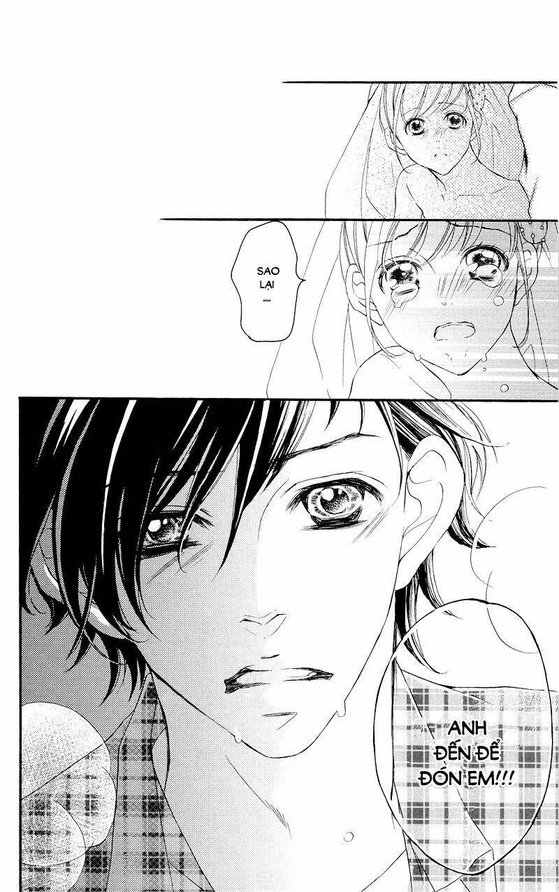 True Love Chapter 37 - Next Chapter 38