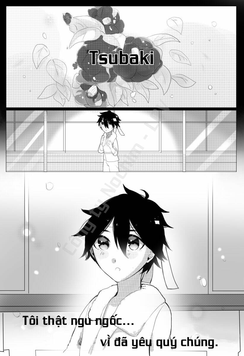 Tsubaki Chapter 1 - Trang 2