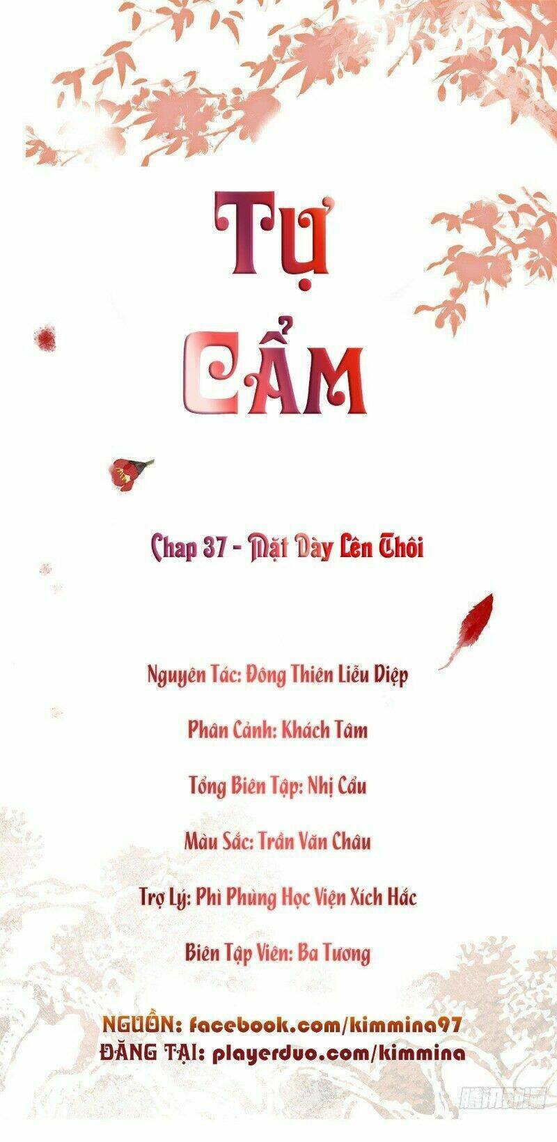 tự cẩm Chapter 37 - Trang 2