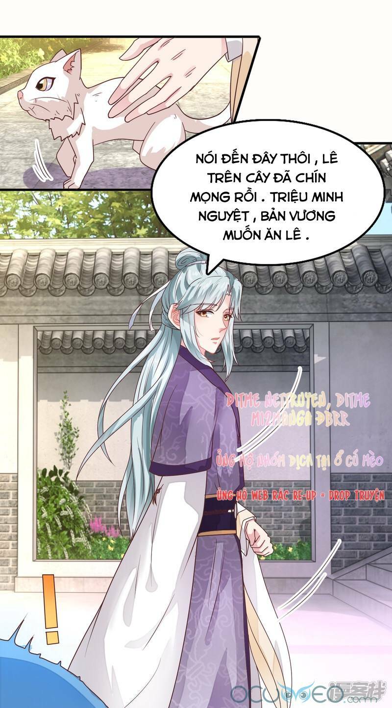 tư sủng âm dương phi chapter 16 - Next chapter 17