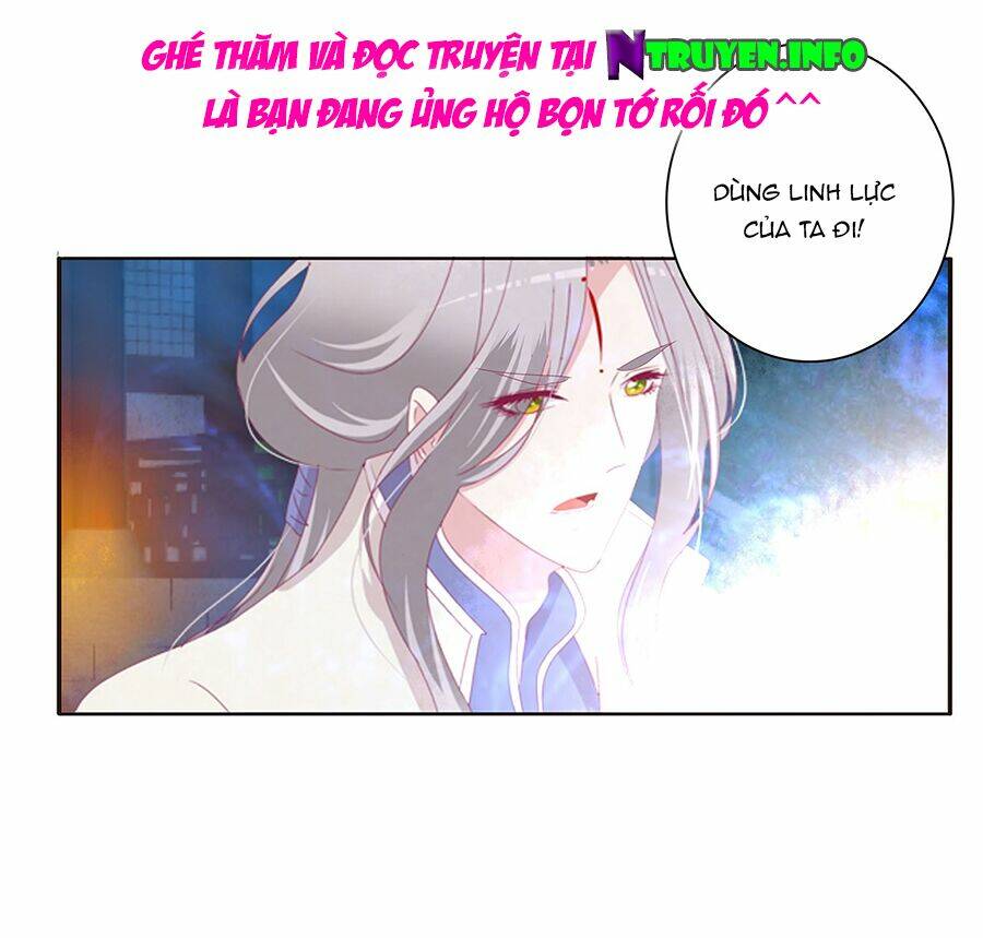 Tướng Quân Mời Ra Trận Chapter 161 - Next Chapter 162