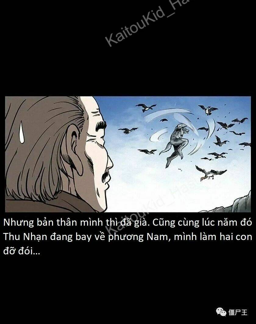 u minh ngụy tượng chapter 308: - làm Ăn lớn - Trang 2